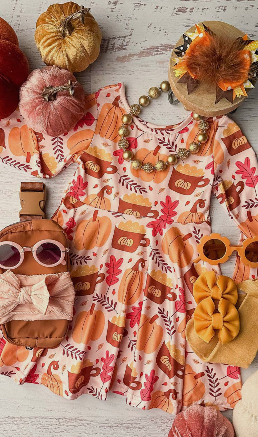 Pumpkin & Fall Leaves  Twirl Dress